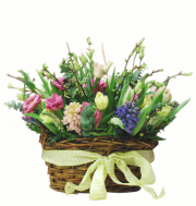 Country Garden flowers 1